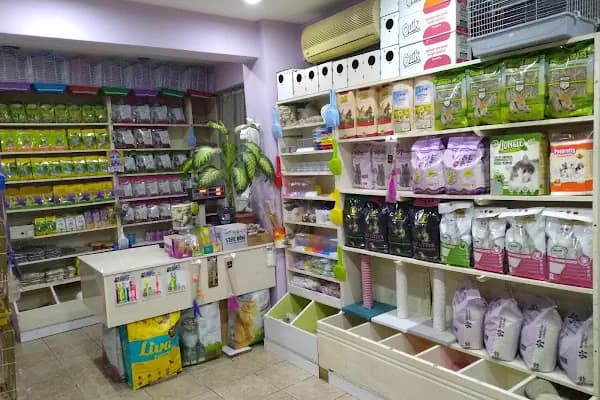 Kerem Akvaryum Petshop Kus Balik Galerisi - Evcil hayvan mağazası - İstanbul Bağcılar