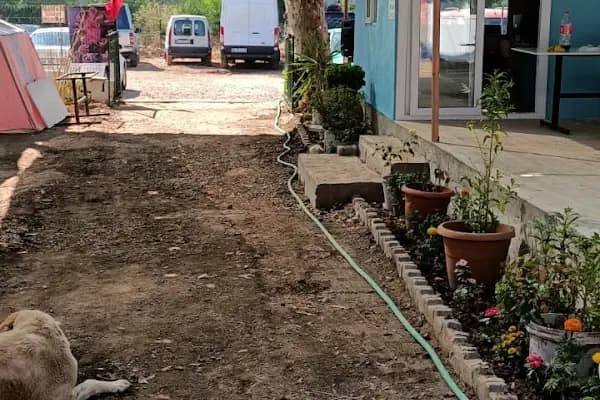 Çınar Camping - Kamp Alanı - İzmir Menderes