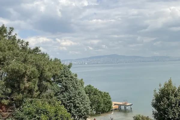 Çemişgezekli Seyyid Haydar Sami Efendi'nin Kabri Şerifi - Kutsal Yer - İstanbul Bakırköy