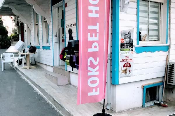 Foks Pet House - Evcil hayvan mağazası - İstanbul Kadıköy