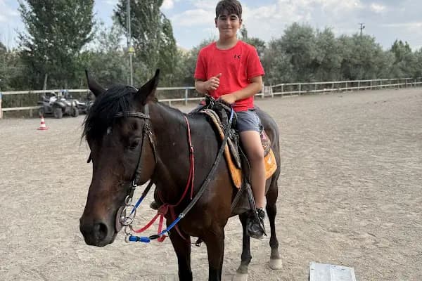 Paşaoğlu Atlı Spor Tesisleri - At Binme Hizmeti - Sivas Akıncılar