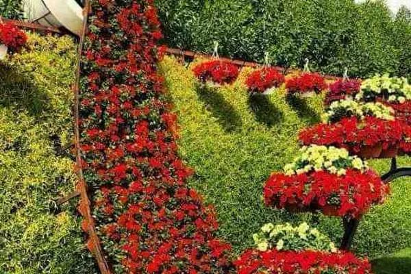 Çocuk Parkı - Park - İstanbul Esenyurt