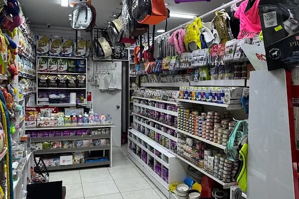 çınar petshop küçükçekmece - Evcil hayvan mağazası - İstanbul Kadıköy