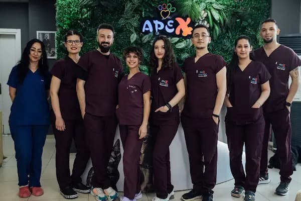 Apex Veteriner Kliniği - Veteriner - İzmir Bornova