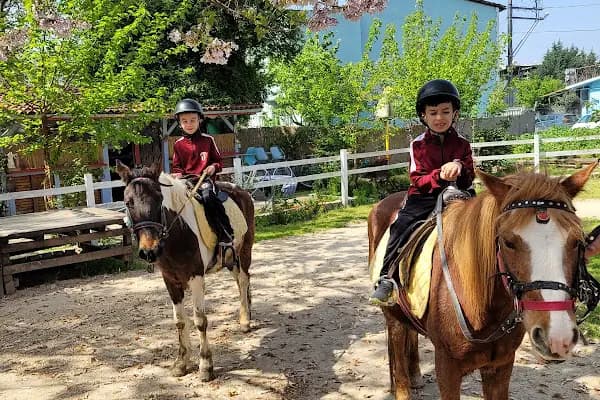 Rüzgarlı Bahçe At Çiftliği - At Binme Hizmeti - Bursa Nilüfer