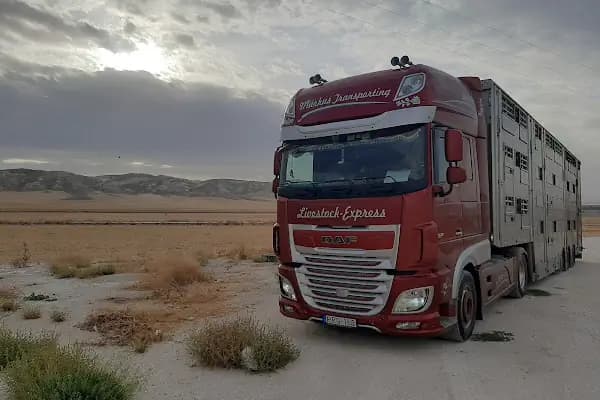 GÜVEN ZAHİRE BESİ ÇİFTLİĞİ - Büyükbaş Hayvan Çiftliği - Ankara Altındağ