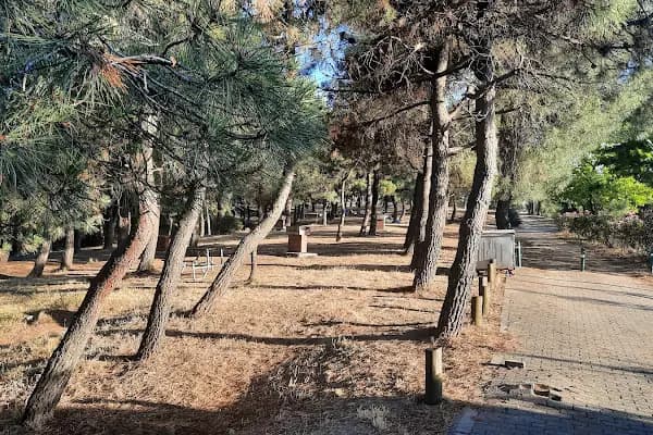 Kocaeli Büyükşehir Belediyesi Kuştepe Mesire Alanı - Piknik Alanı - Kocaeli Çayırova