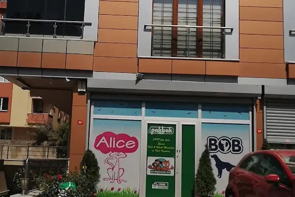 Alice Pet Shop - Evcil Hayvan Malzemeleri Mağazası - İstanbul Ataşehir
