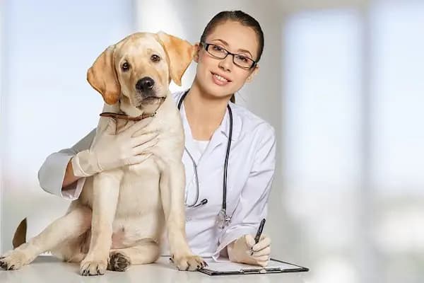 Adana Veteriner Kliniği - HEYPATİ - Veteriner - Adana Seyhan