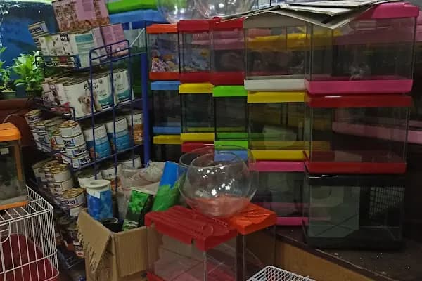 Atlantis pet shop - Evcil hayvan mağazası - Malatya Battalgazi