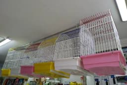Bursa Cihan Akvaryum & Petshop