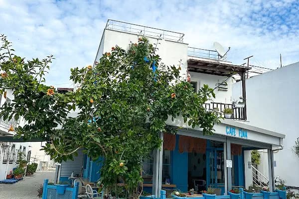 Bitez Cafe &amp; Restaurant - Bodrum Belediye A.Ş. - Kafeterya - Muğla Menteşe