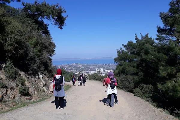 Manastır Balçova Terapi Ormanı - Tarihi Yer - İzmir Bergama