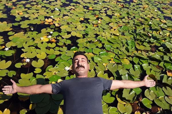 Beysehir nilufer bahcesi - Fotoğrafçı - Konya Akşehir