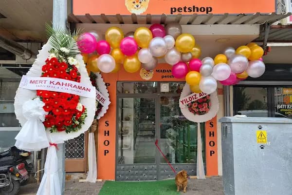 MADAM GODİ PETSHOP - Evcil hayvan mağazası - Balıkesir Karesi