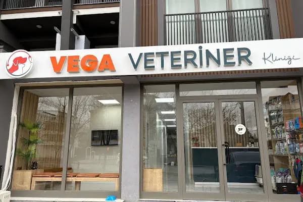 Vega Veteriner Kliniği - Veteriner - Kocaeli Başiskele