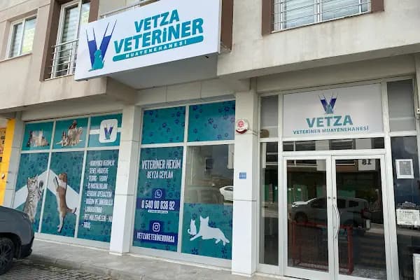 Vetza Veteriner Muayenehanesi - Veteriner - Bursa Nilüfer