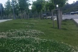 ARNAVUTKÖY SOSYAL GÜVENLİK MERKEZİ