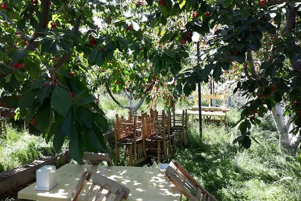 Yoldaşlar Restaurant Ovacık - Restoran - İzmir Ödemiş