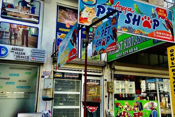 ASYA PETSHOP GAZİANTEP - Evcil hayvan mağazası - Gaziantep Şahinbey