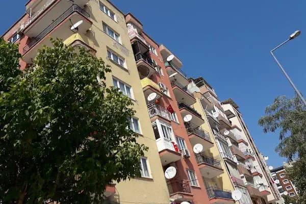 Yurtiçi Kargo Mesir - Taşımacılık Hizmeti - Manisa Manisa