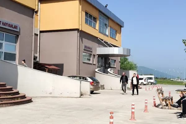 OMÜ Hayvan Hastanesi - Veteriner - Samsun 19 Mayıs