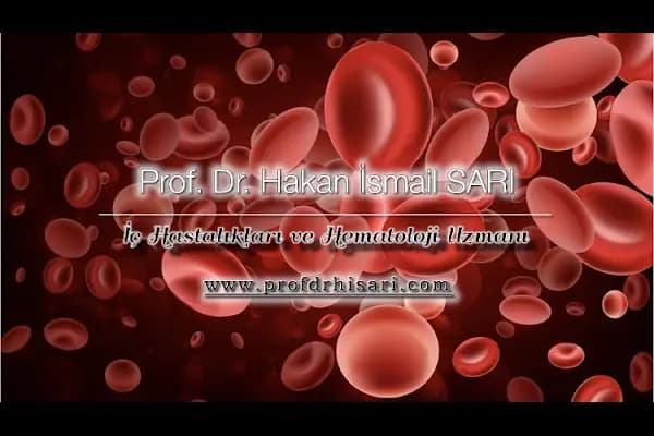 Prof. Dr. Hakan İsmail SARI - Doktor - İstanbul Ataşehir