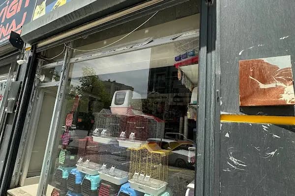 Altın Kafes Van Petshop - Mağaza - Van İpekyolu