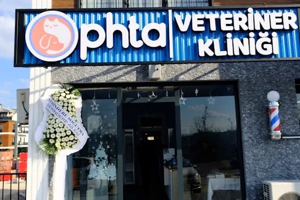 Ophta Veteriner Kliniği - Acil Durum Veterinerlik Hizmeti - Kocaeli Körfez