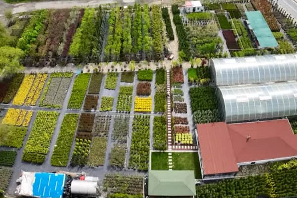 Bambu Bahçe Market - Bahçe ürünleri satış merkezi - İstanbul Sarıyer