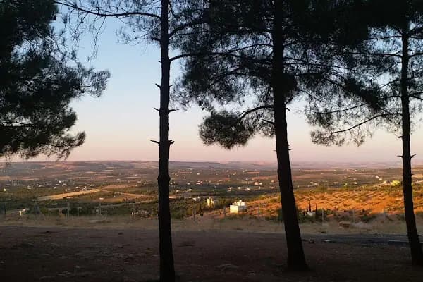 Park - Park - Şanlıurfa Birecik