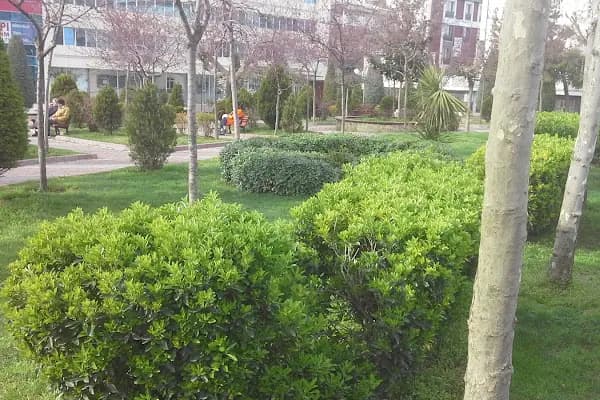 Şehit Başkomiser Ahmet Zehir Parkı - Park - İstanbul Ataşehir