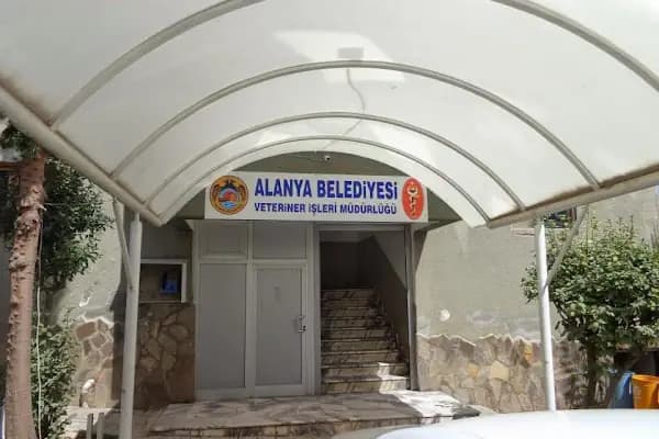 Alanya Belediyesi Veteriner İşleri Müdürlüğü - Devlet Dairesi - Antalya Alanya