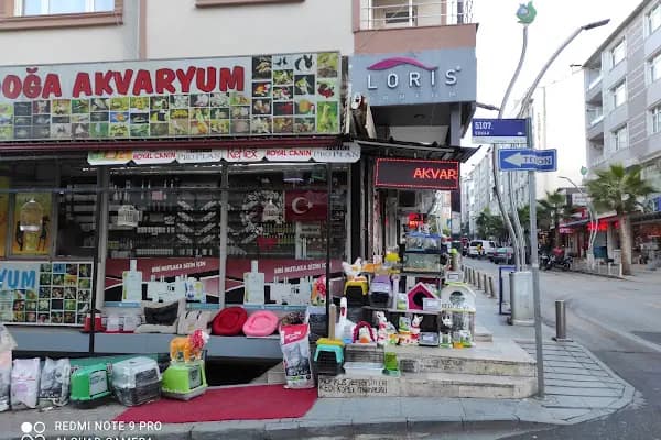 Çayırova Kitabevi &amp; Kırtasiye - Kitapçı - Kocaeli Kandıra