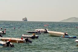 Yurtiçi Kargo Zeytin
