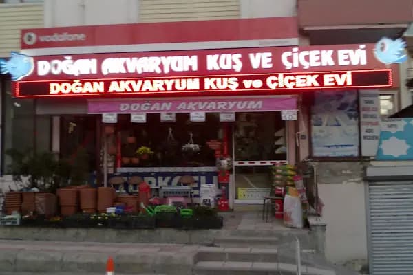 Doğan Akvaryum Kuş ve Çiçek evi - Evcil Hayvan Malzemeleri Mağazası - Ankara Keçiören