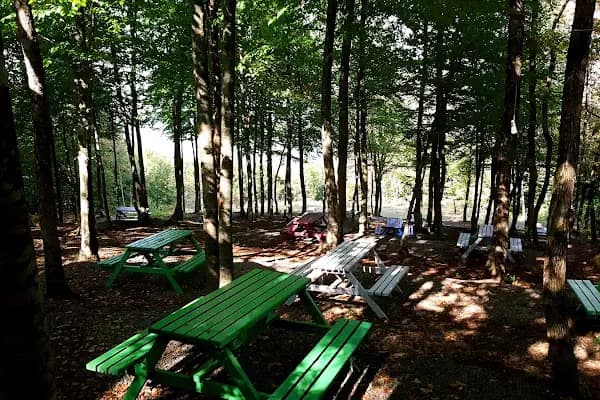 Yeşildoğa Piknik Ve Kamping Alanı - Piknik Alanı - Kocaeli Başiskele