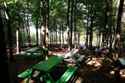 Yeşildoğa Piknik Ve Kamping Alanı