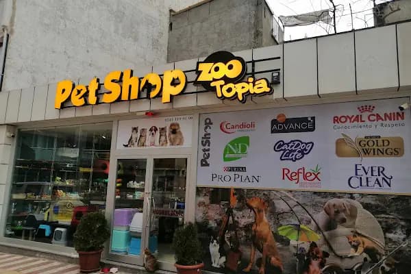 Zootopia Petshop - Evcil hayvan mağazası - Bursa Osmangazi