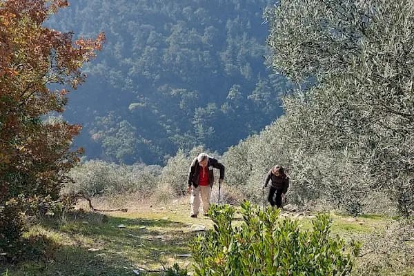 Bayındır - Yerleşim Yeri - İzmir Bayraklı