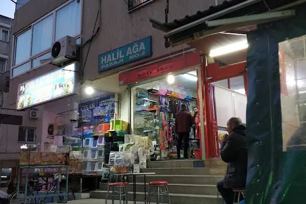 Çınar Akvaryum Petshop - Evcil hayvan mağazası - İzmir Bayraklı