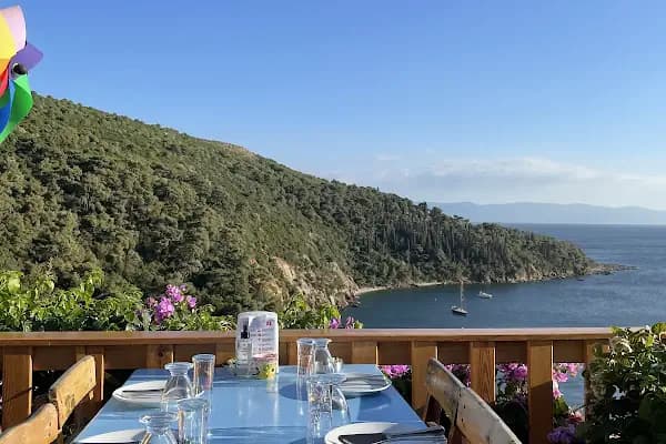 Anastasia Garden Restaurant&cafe& kahvaltı &bar - Restoran - İstanbul Adalar