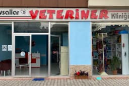 Avsallar Veteriner Kliniği / Kleintierpraxis / Pet Clinic