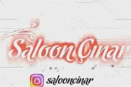 Saloon çınar