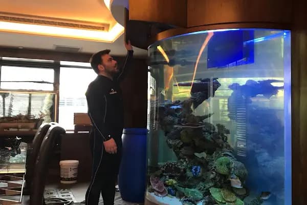 Konsept Akvaryum - Akvaryum - İstanbul Pendik
