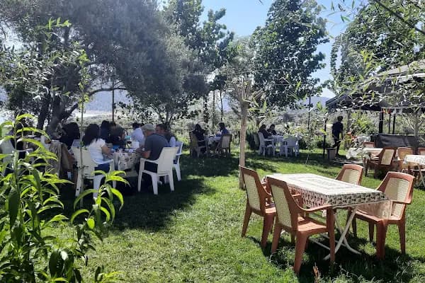 ArapApıştı Kanyonu Mammacı Yörük Çadırı Restorant - Aile restoranı - Aydın Çine