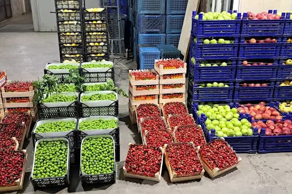 Balıkesir Büyükşehir Belediyesi Toptancı Hali - Gıda Pazarı - Balıkesir Altıeylül