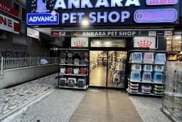 Ankara Pet Shop