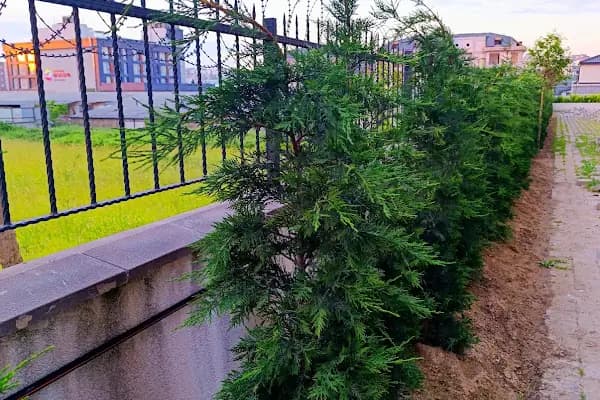 Simpark Evleri Taşoluk - Güvenlikli Site - İstanbul Arnavutköy