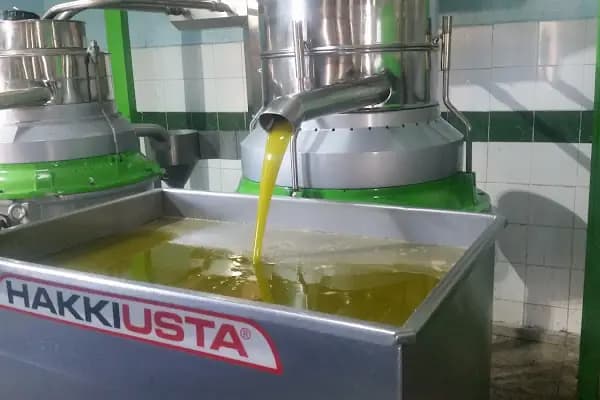 Altın Damla Zeytinyağı - Zeytinyağı Üreticisi - Aydın Nazilli
